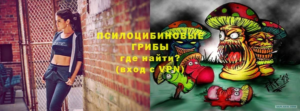 амф Вязьма