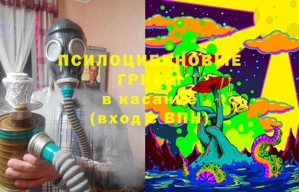 амф Вязьма