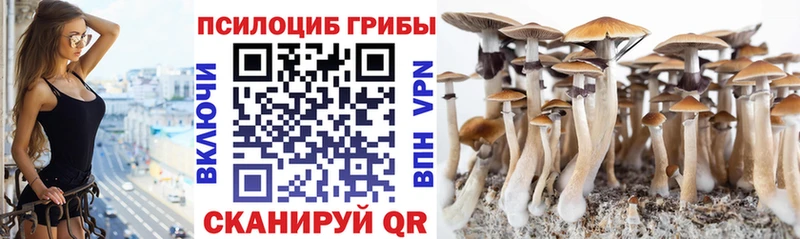 Псилоцибиновые грибы мухоморы Архангельск